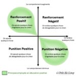 schéma du conditionnement opérant - behaviourisme - l'orée du loup